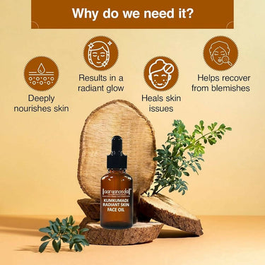 https://cdn.shopify.com/s/files/1/1857/6931/files/lvJTWIiPYD-236570.jpg?v=1736141517
